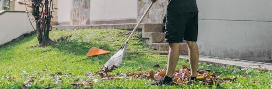 Junk Masters Dublin Cover Image