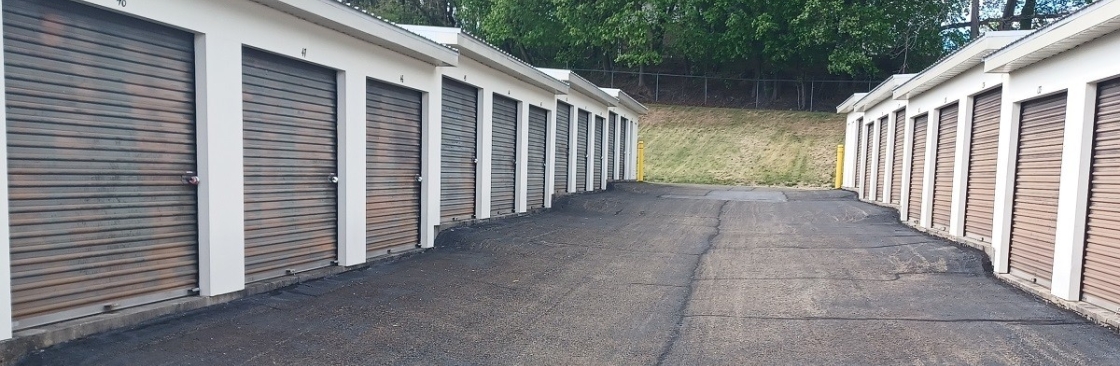 Willow Self Storage Cover Image